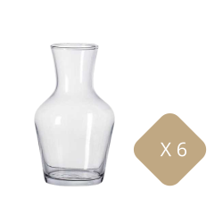 Lot de 6 carafes (100cl)